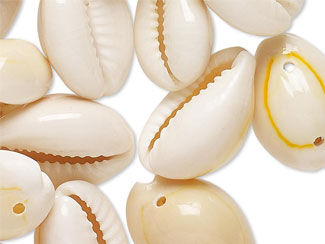 Cowrie/Cowry Shell